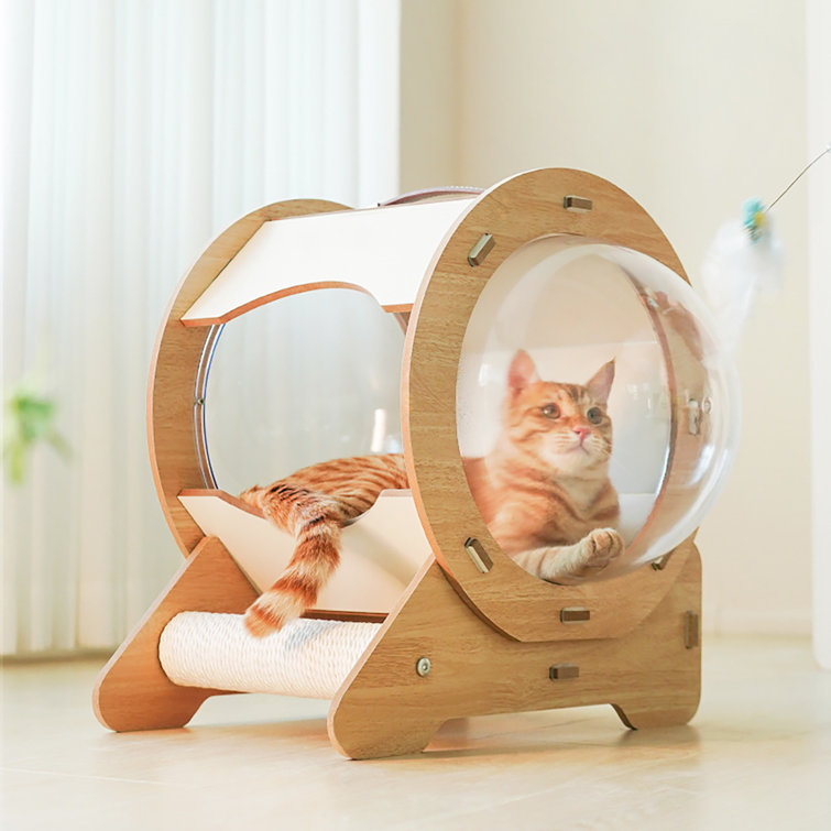 Wayfair store cat beds